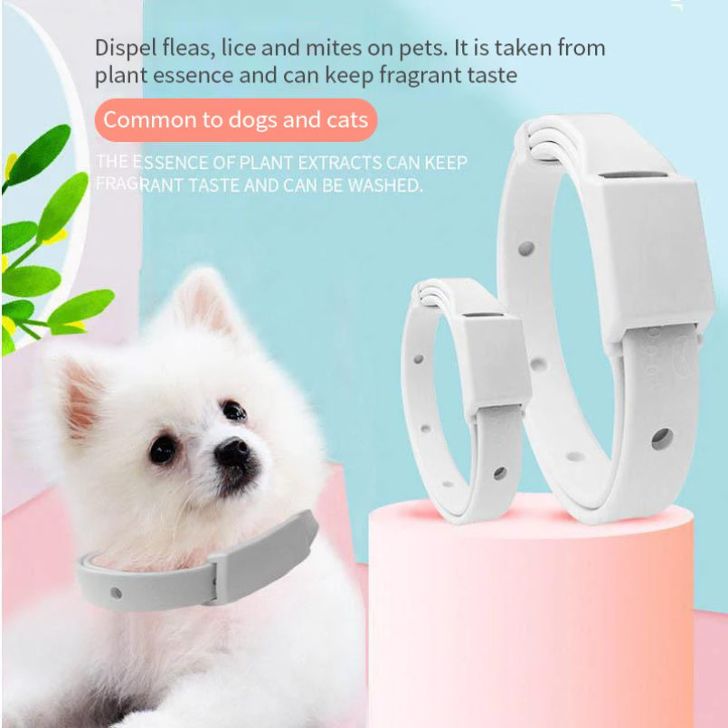 고양이 작은 개를위한 벼룩 진드기 방지 목걸이 방충제  - Pet Immune Pir Sensor 리뷰 및 가격
