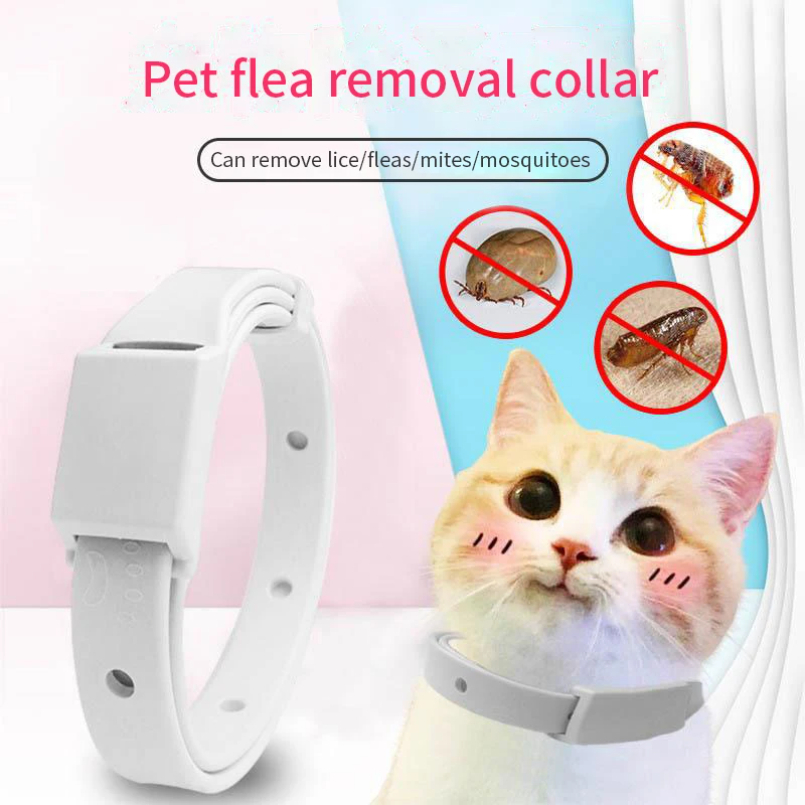 고양이 작은 개를위한 벼룩 진드기 방지 목걸이 방충제  - Pet Immune Pir Sensor 리뷰 및 가격