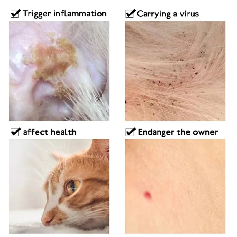 고양이 작은 개를위한 벼룩 진드기 방지 목걸이 방충제  - Pet Immune Pir Sensor 리뷰 및 가격