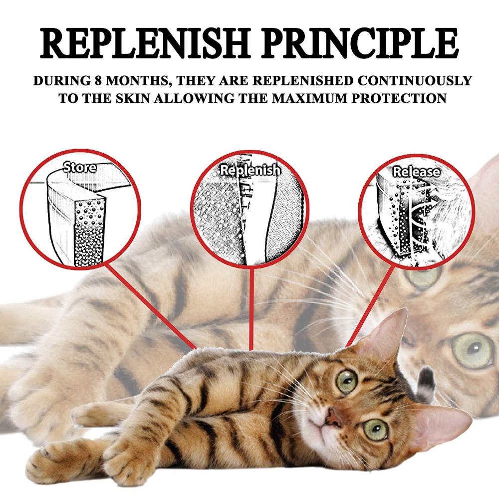 방수 모기퇴치 8개월 지속 효과 해충 예방 강아지 고양 - Pet Immune Pir Sensor 리뷰 및 가격