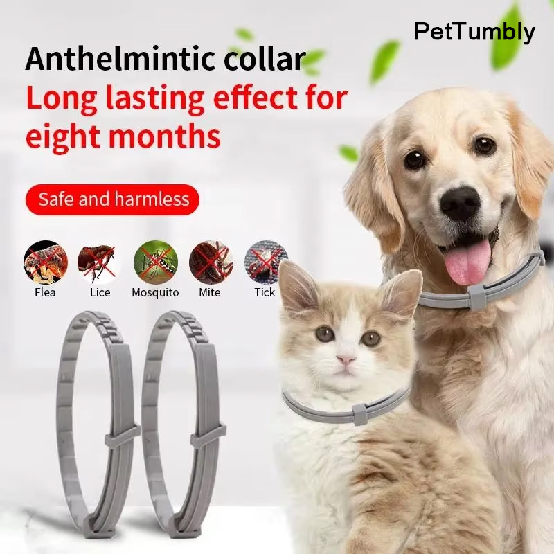 개 목걸이, 고양이 벼룩 및 진드기 방지, 애완 동물  - Pet Immune Pir Sensor 리뷰 및 가격